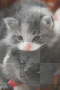 cute.....=)