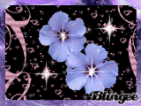 twinkle heart flowers
