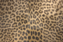 LEPARD