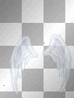 angelwings angelwings