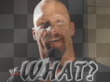 stone cold steve austin stone cold steve austin