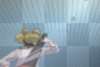 tenten vs. temari tenten vs. temari