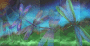 blue dragonflies