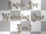 Angels Angels