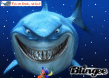 Shark's Tail