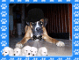 booba
