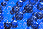 blue bubbles