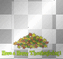 happy thanksgiving