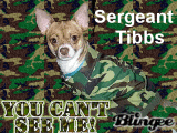 Sergeant Tibbs