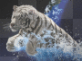 snowtiger