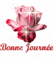 nolance