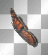 butterflysinglerite