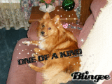 *one of a kind <3*