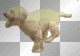 running dog