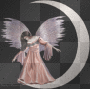 moon angel