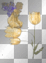 fairy on flower