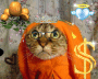 mon chat