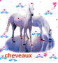 cheveaux cheveaux