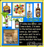 jappy 20th b-day