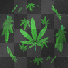 Weed Dance, 703VA, Chino, Mexican