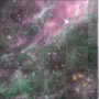 stars