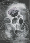 Black Rose