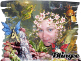 fairy carrie