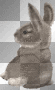 lapin