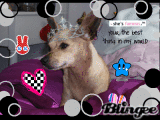 ILuvpudding123
