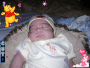 carlitosdelbx
