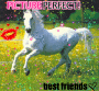Cute Horse