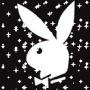 playboy bunny