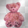 pink teddy