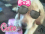 Smile Puppy