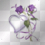 rose and heart rose and heart