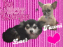 Laci&TawniBlingee