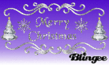 Merry Christmas from ~*~Holly~*~!