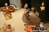 Lucian Thanksgiving