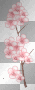Pink flowers