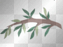 Tree Branch