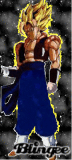 SSJ Gogito