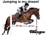 -HORSE-MAD-AMY-