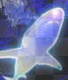 Shark 2