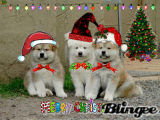 Christmas pups