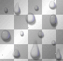 rain drops rain drops