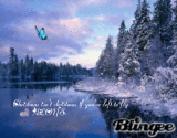 Christmas Butterfly