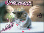 xoxLil-miss-Mexox