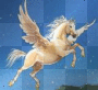 beautiful horse