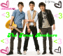 The Jonas Brothers