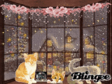 KITTY FUN